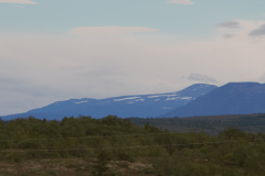 IMG_1005-1-e1565824514412