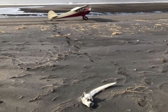 judy-jo-photo-contest