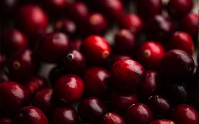 Cranberry Akutaq